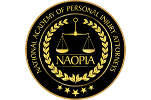 Daniel D’Costa - National Academy of Personal Injury Attorneys Badge